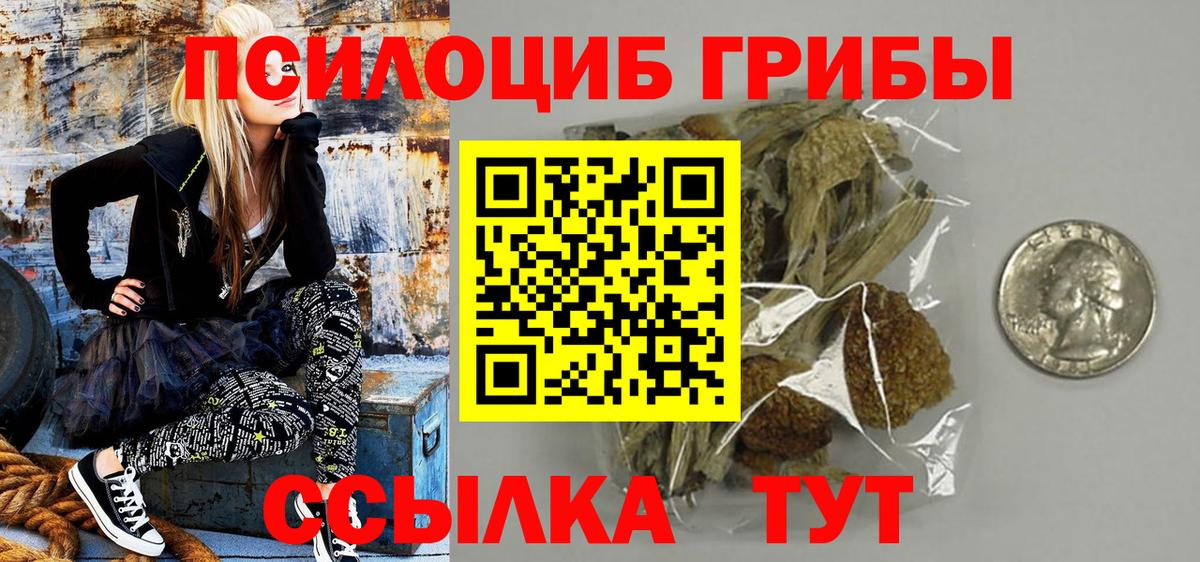 Котельники  Галлюциногенные грибы GOLDEN TEACHER  Вход с VPN 